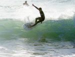 Nubby surf li